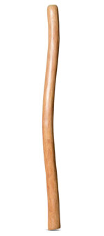 Medium Size Natural Finish Didgeridoo (TW1539)